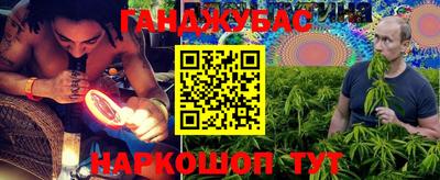 прущие крисы Можга