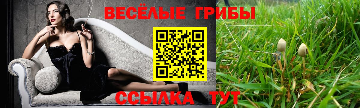 Псилоцибиновые грибы Magic Shrooms Татарск